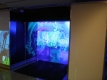 FogScreen, Deloitte Hilton